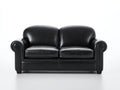 Canapé 2 places en revêtement effet cuir 175 x 90 x 85 cm - Noir - Design classique à accoudoirs roulés pour salon