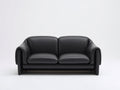 Canapé 2 places en cuir synthétique 160x85x80 cm - noir - style contemporain pour salon