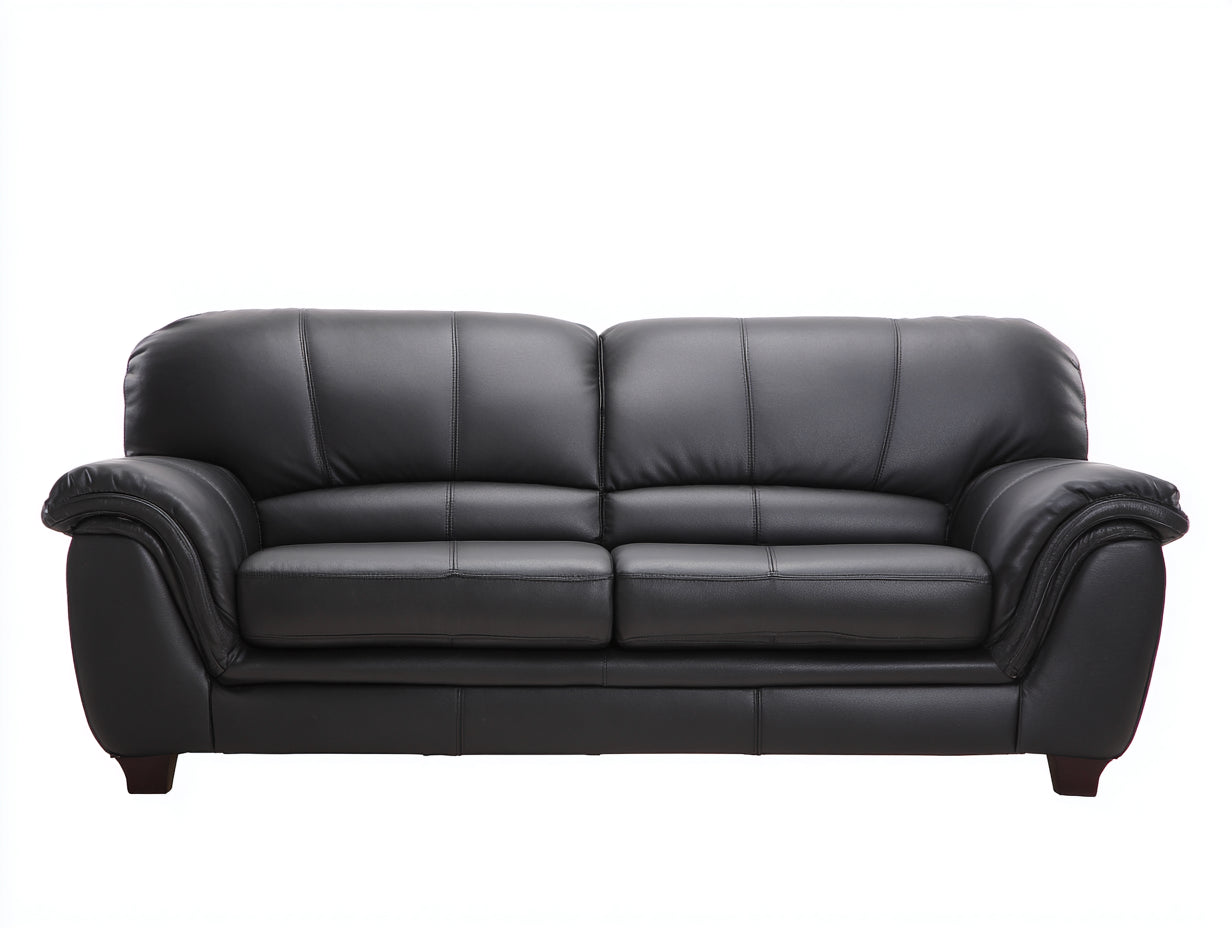 Canapé 2 places en revêtement effet cuir 180x90x88 cm - Noir - Accoudoirs arrondis